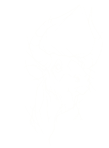taureau2